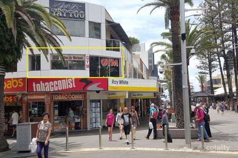 16/15 Cavill Ave, Surfers Paradise, QLD 4217