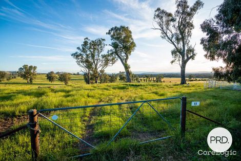 Property photo of 64 Jas Bell Drive Table Top NSW 2640