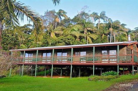 Property photo of 109 Licuala Drive Tamborine Mountain QLD 4272