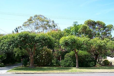 Property photo of 55 Milne Street Bicton WA 6157