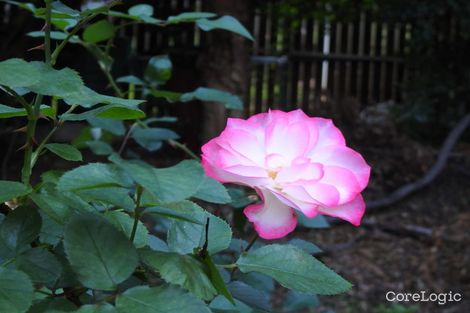 52 Enchelmaier St, Dayboro, QLD 4521