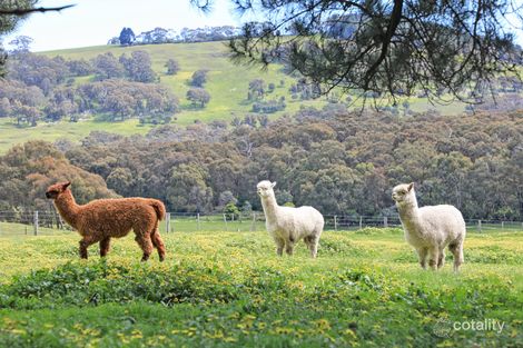 Property photo of 109 Stranges Road Romsey VIC 3434