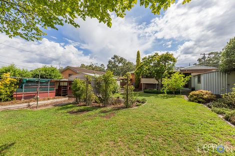Property photo of 93 Ainsworth Street Mawson ACT 2607