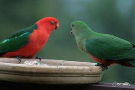 Property photo of 20 Third Ridge Road Smiths Lake NSW 2428