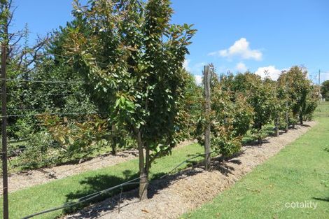 Property photo of 115 Derby Street Glen Innes NSW 2370