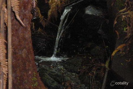 Property photo of 415 Wild Dog Road Apollo Bay VIC 3233