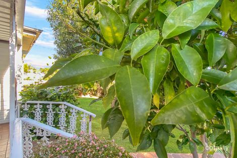 Property photo of 14 Keats Avenue Riverwood NSW 2210