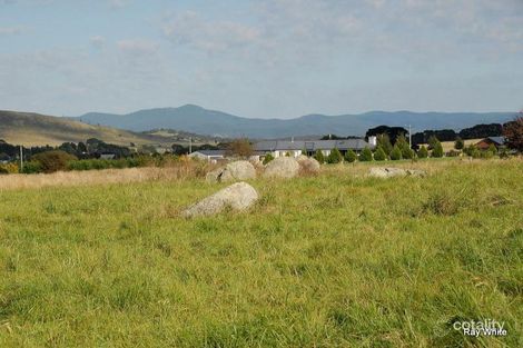 Property photo of 25 Hoggs Lane Braidwood NSW 2622