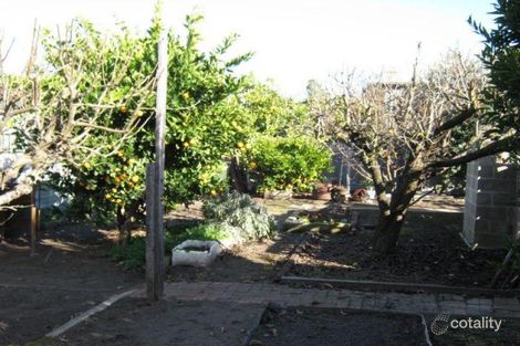 Property photo of 59 McLeod Street Bordertown SA 5268