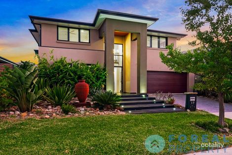 Property photo of 17 Yosemite Street The Ponds NSW 2769