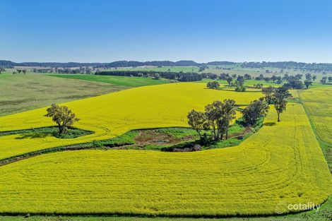 565 Gollan Rd, Goolma, NSW 2852