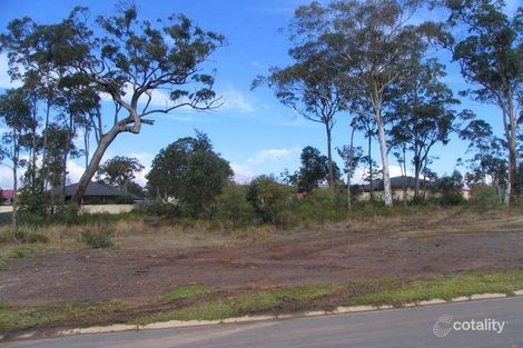 20 Sassin Cres, Medowie, NSW 2318