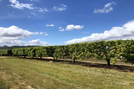 101 Bullaburrah Creek Rd, Dimbulah, QLD 4872