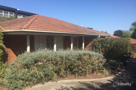 Property photo of 1/89 Middleborough Road Burwood VIC 3125
