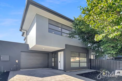 Property photo of 20 Alexander Avenue Ashford SA 5035