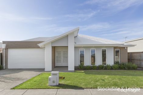 16 Redwood Pl, Ocean Grove, VIC 3226