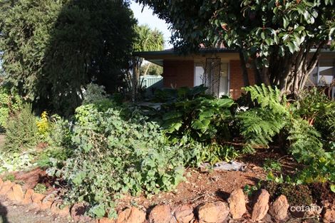 Property photo of 11 Karri Street Manjimup WA 6258