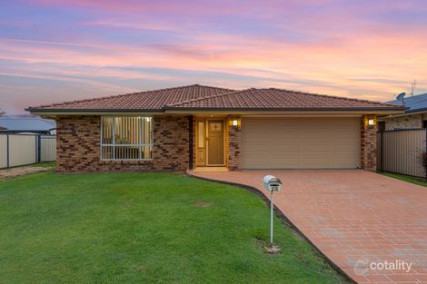 Property photo of 25 Osprey Drive Jacobs Well QLD 4208
