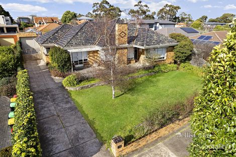 146 Ogilvie St, Essendon, VIC 3040