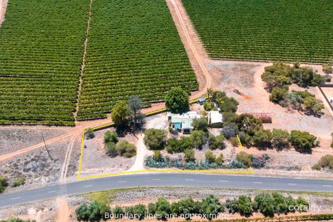 Property photo of 49 Gordon Road Loxton SA 5333