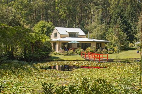 Property photo of 69 Cherrys Lane Toolangi VIC 3777
