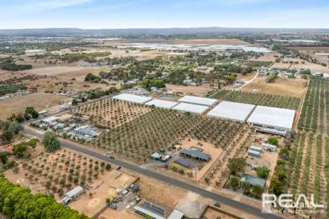 Property photo of 18 Artesian Road Two Wells SA 5501