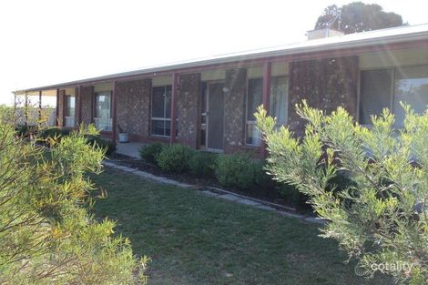 93 Namoi St, Renmark North, SA 5341