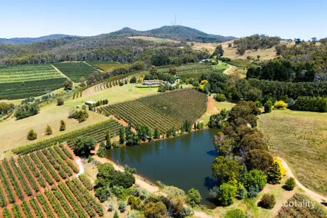 293 Nancarrow Lane, Nashdale, NSW 2800