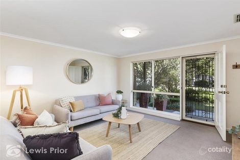 Property photo of 45 McInerney Avenue Mitchell Park SA 5043