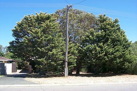 19 Mandalay Pl, Craigie, WA 6025