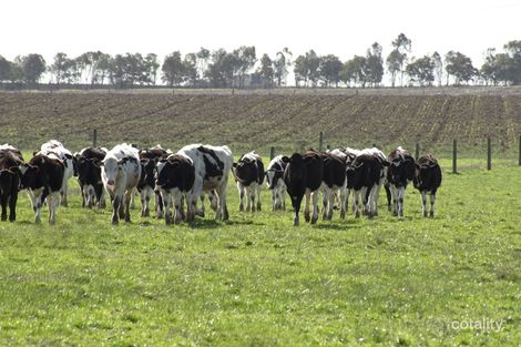 490 Darlington-Terang Rd, Darlington, VIC 3271