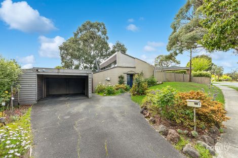 19 Piccadilly Ave, Wantirna South, VIC 3152