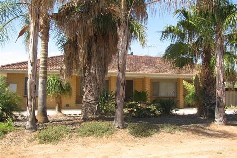 Property photo of 114 West Road Buronga NSW 2739