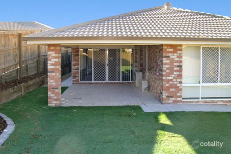 Property photo of 38 Speckled Circuit Springfield Lakes QLD 4300
