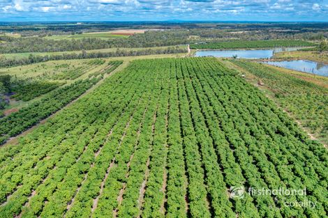 222 Keoghs Rd, South Kolan, QLD 4670