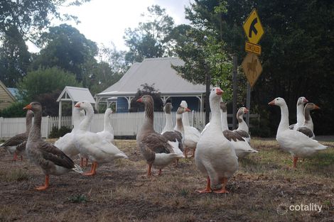 Property photo of 52 Main Road Riddells Creek VIC 3431