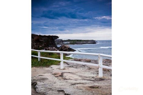 Property photo of 6/120 Alison Road Randwick NSW 2031