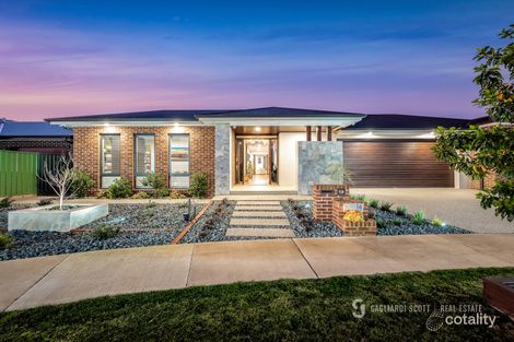 Property photo of 16 Cockatoo Crescent Kialla VIC 3631