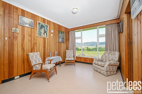 394 Dalrymple Rd, Mount Direction, TAS 7252