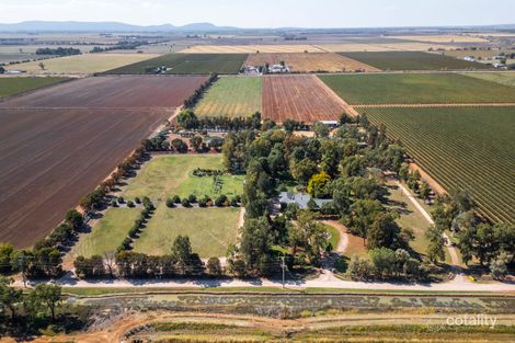 337 Prior Rd, Bilbul, NSW 2680