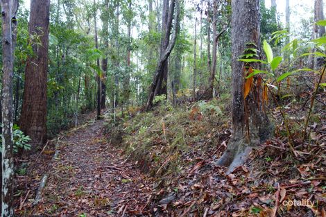 Property photo of 63 Forest Ridge Drive Doonan QLD 4562