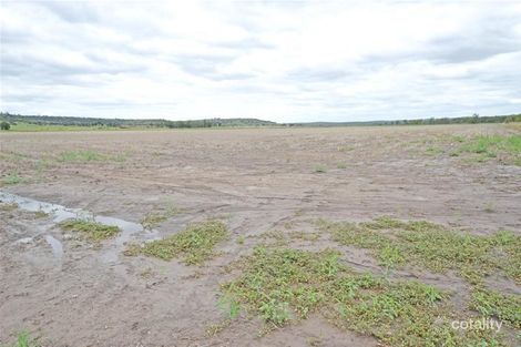 Property photo of 81 Morris Lane Thangool QLD 4716