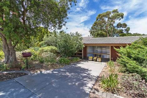 Property photo of 11 Burra Street Modbury North SA 5092