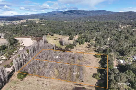 Property photo of 2293 Towamba Road Towamba NSW 2550