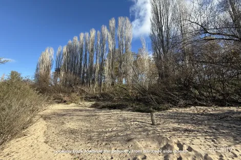 Property photo of 2293 Towamba Road Towamba NSW 2550