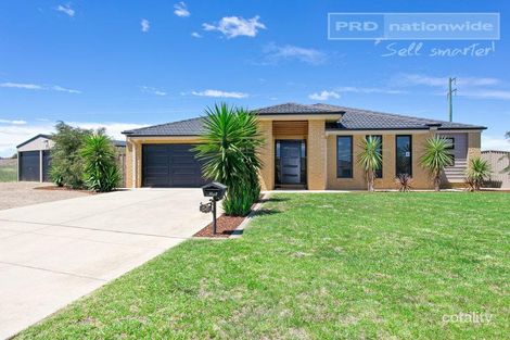 56 Grinton Ave, Ashmont, NSW 2650