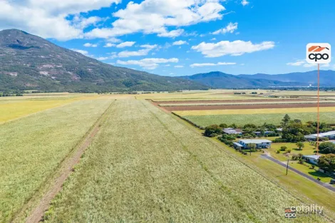 Property photo of 6 Cecil Street Aloomba QLD 4871