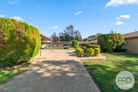 Property photo of 6/33 Wren Street Mount Austin NSW 2650