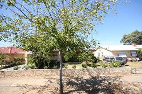 31 Calstock Ave, Edwardstown, SA 5039