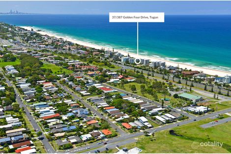 37/387 Golden Four Dr, Tugun, QLD 4224